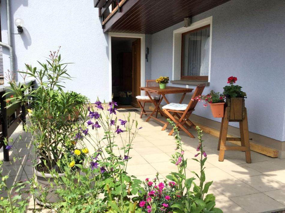 Pension Elblinge Prossen Exterior foto
