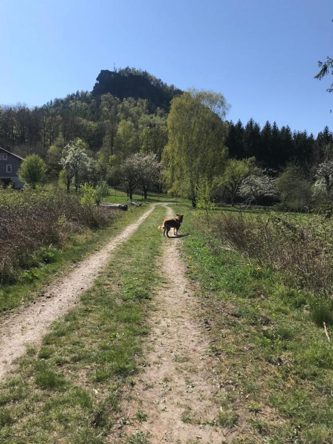 Pension Elblinge Prossen Exterior foto